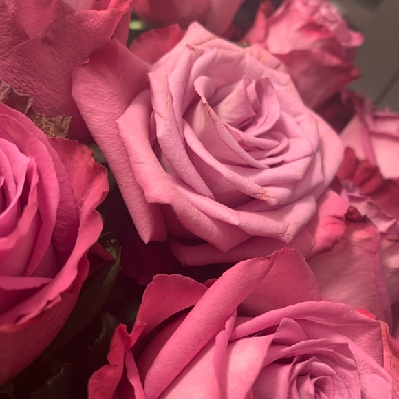 foxy_rose